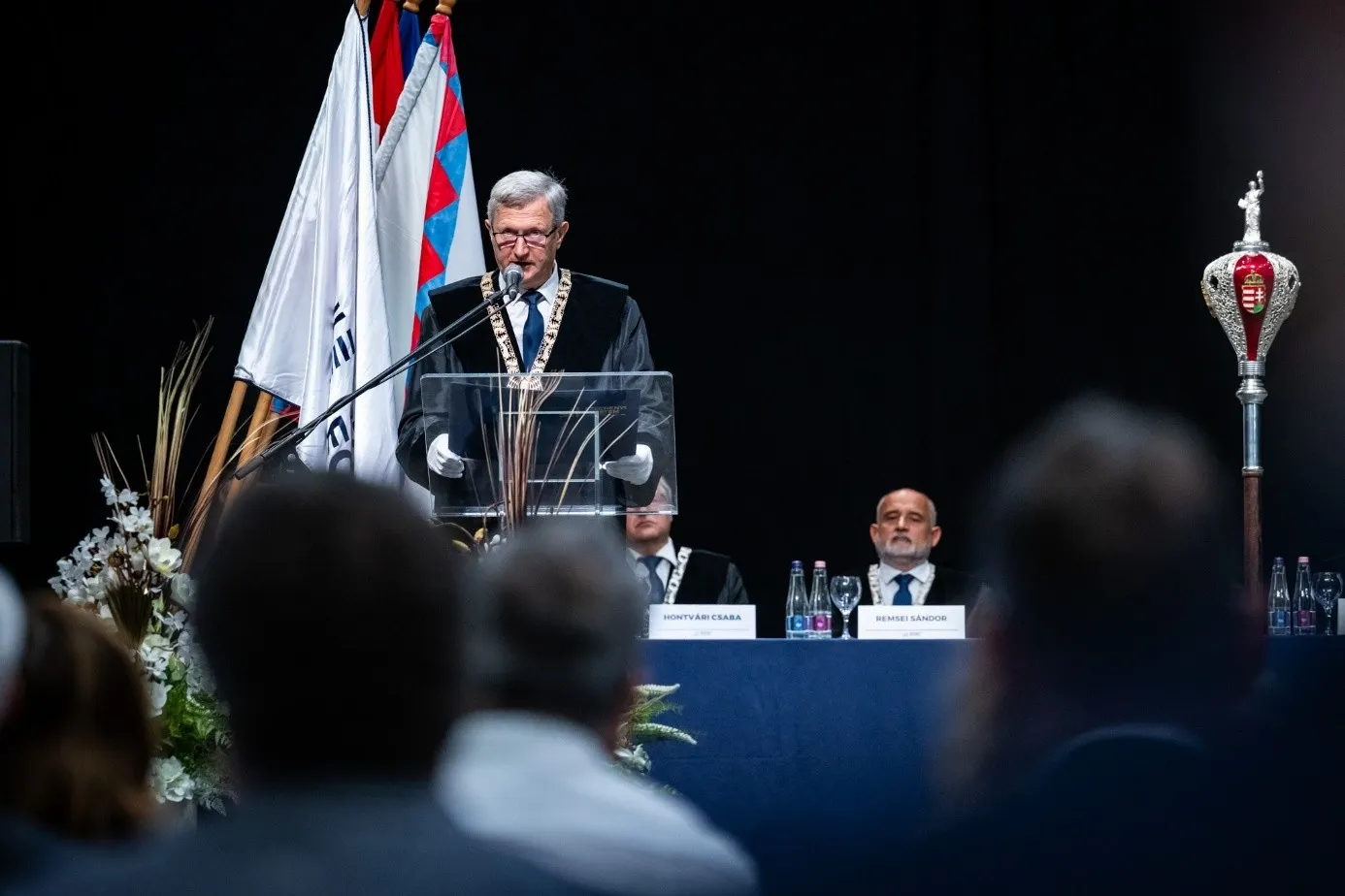 Kép1 (3).webp